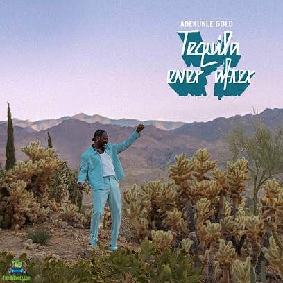 Adekunle Gold - Chasing Peace Of Mind ft Habib Koite, Ami Faku