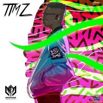 Bad Boy Timz - Don't Go ft Anonymous