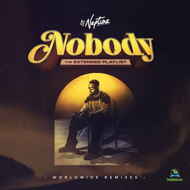 Dj Neptune - Nobody (French Remix) ft Tayc Joeboy