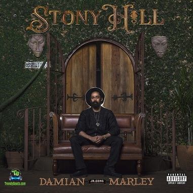 Damian Marley - Perfect Picture ft Stephen Marley