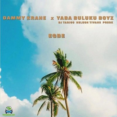 Dammy Krane - Egbe ft Yaba Buluku Boyz, DJ Tarico, Preck, Nelson Tivane