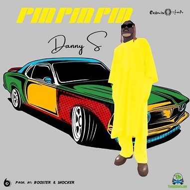 Danny S - Pin Pin Pin