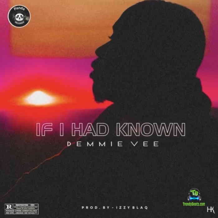 Demmie Vee - If I Had Know