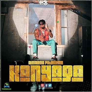 Diamond Platnumz - Kanyaga