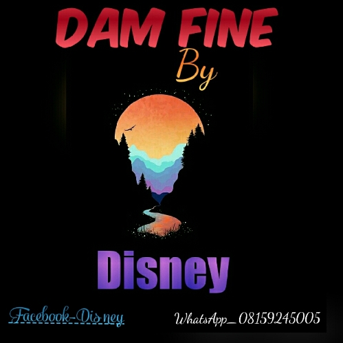 Diznee - Damn fine