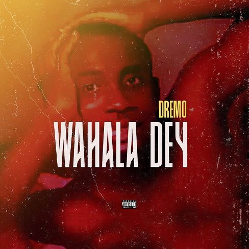Dremo - Wahala Dey