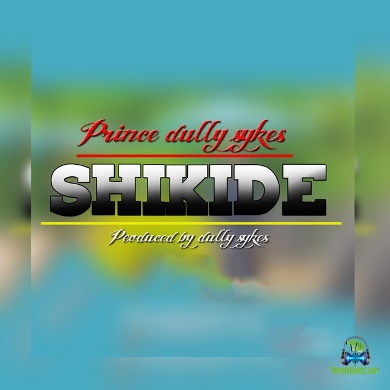 Dully Sykes - Shikide