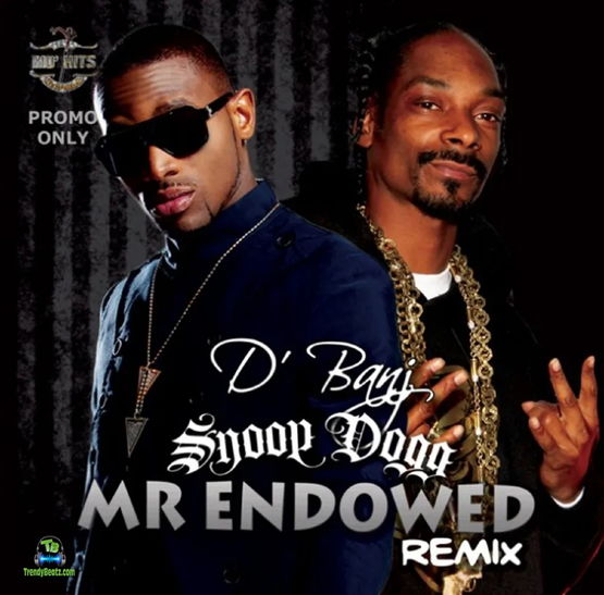 D Banj - Mr Endowed (Remix) ft Snoop Dogg