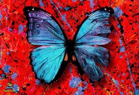 Ed Sheeran - Shivers (Navos Remix)