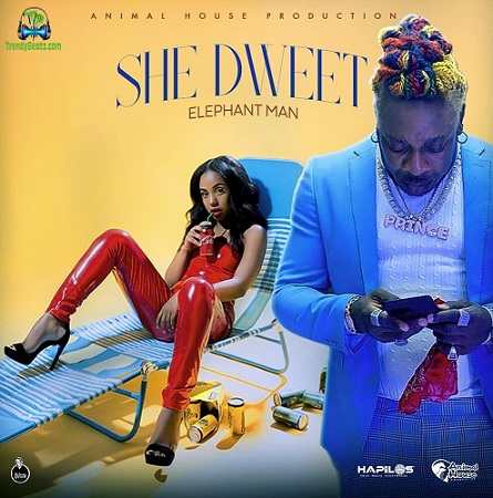 Elephant Man - She Dweet