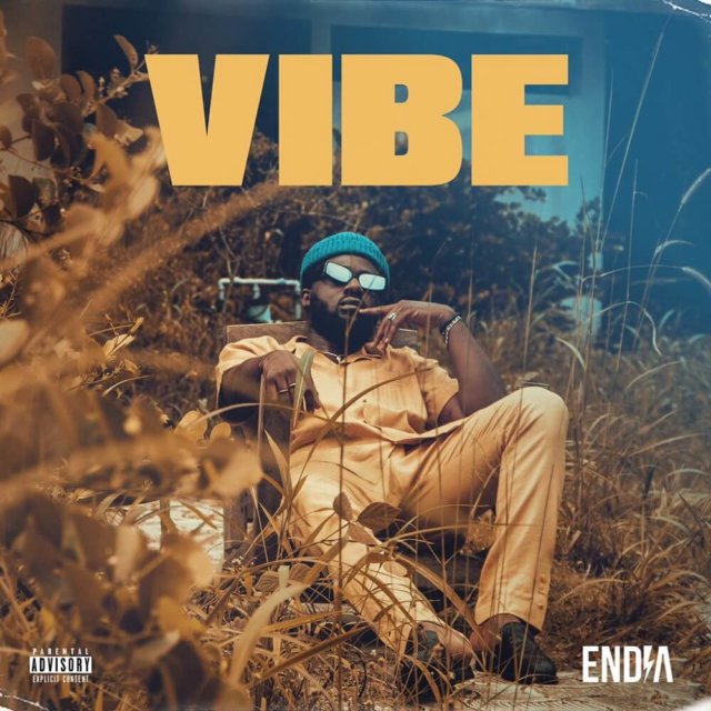 Endia - Vibe
