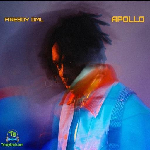 FireBoy DML