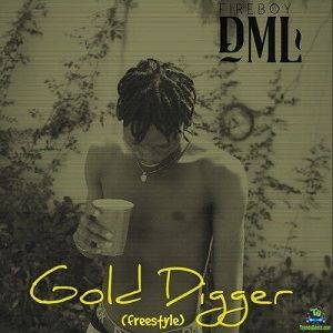 FireBoy DML - Gold Digger