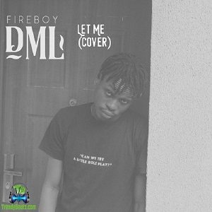 FireBoy DML - Let Me (Cover)