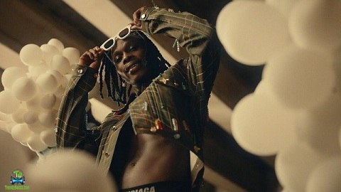 FireBoy DML