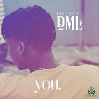 FireBoy DML - You
