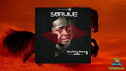 Flowking Stone - Survive