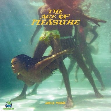 Janelle Monae - Know Better ft Ckay, Seun Kuti, Egypt 80