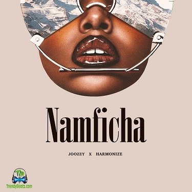 Joozey - Namficha ft Harmonize