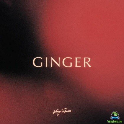 King Promise - Ginger