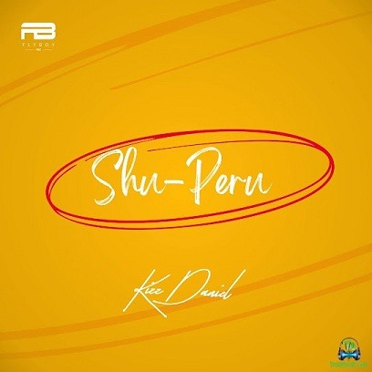 Kizz Daniel - Shu Peru