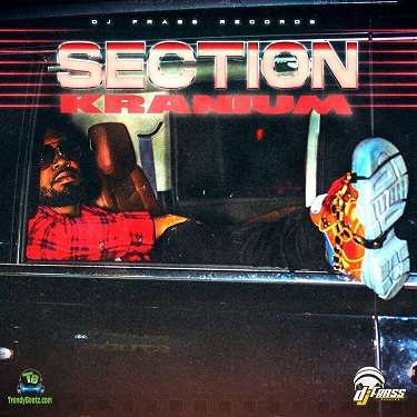 Kranium - Section