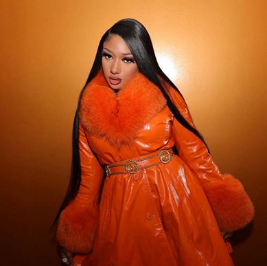 Megan Thee Stallion - Thot Shit (Video)