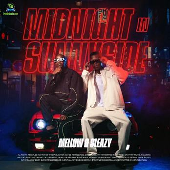 Mellow and Sleazy - Ba Bize ft Murumba Pitch, Daliwonga, Visca, Djy Biza