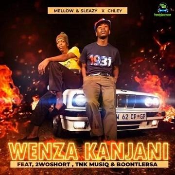 Mellow and Sleazy - Wenza Kanjani ft 2woshort, TNK MusiQ, BoontleRSA