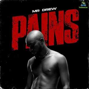 Mr Drew - Pains