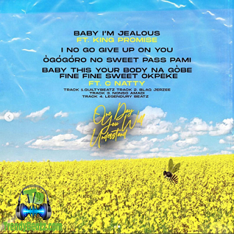 Mr Eazi - Baby I’m Jealous ft King Promise , emPawa Africa