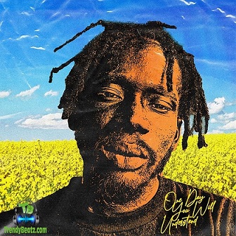 Mr Eazi - Baby This Your Body Na Gobe Fine Fine Sweet Okpeke ft C Natty