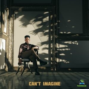 Nasty C - Can't Imagine