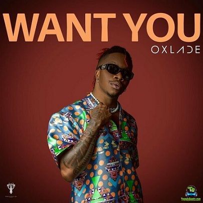 Oxlade - Want You