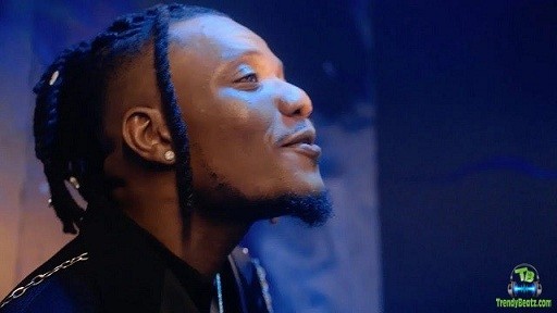 Pheelz - Stand By You (Video)