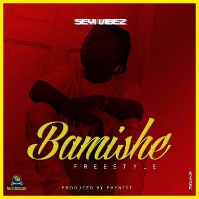 Seyi Vibez - Bamishe