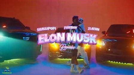 Shallipopi - Elon Musk (Remix) Video ft Fireboy DML, Zlatan