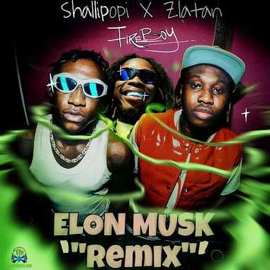Shallipopi - Elon Musk (Remix) ft Fireboy DML, Zlatan