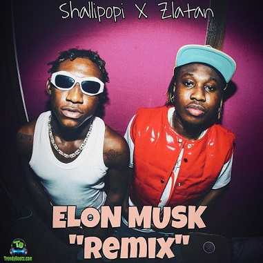 Shallipopi - Elon Musk (Remix) ft Zlatan