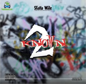 Shatta Wale