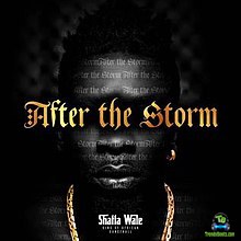 Shatta Wale - For The Money