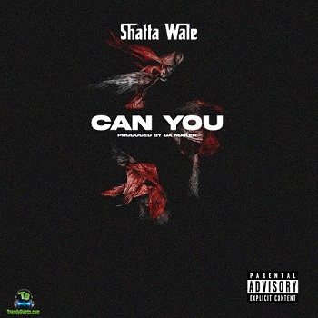 Shatta Wale - Can You