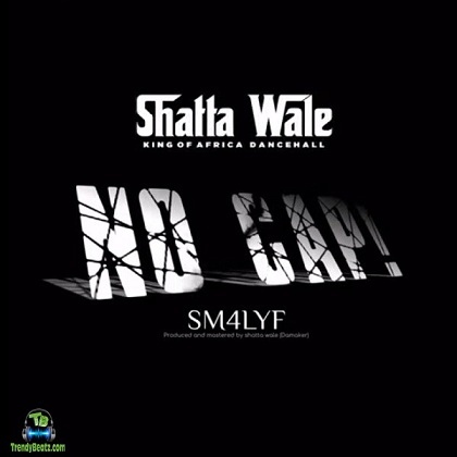 Shatta Wale