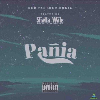 Shatta Wale