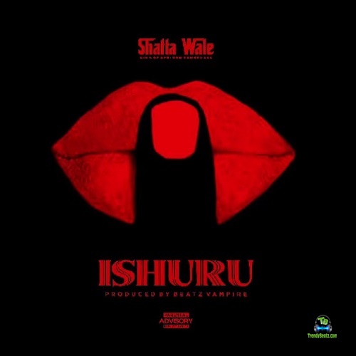 Shatta Wale - Ishuru (Shuru)