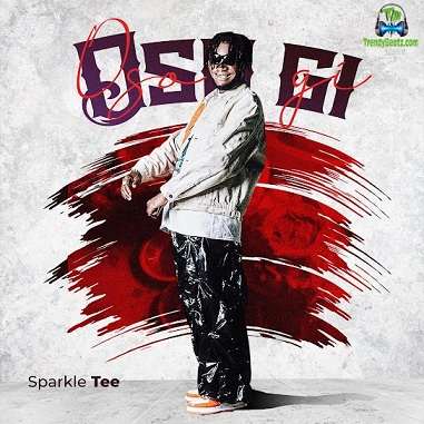 Sparkle Tee - Oso Gi