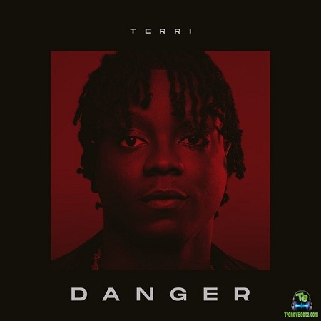 Terri - Danger