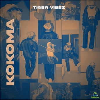 Tiger Vibez - Kokoma