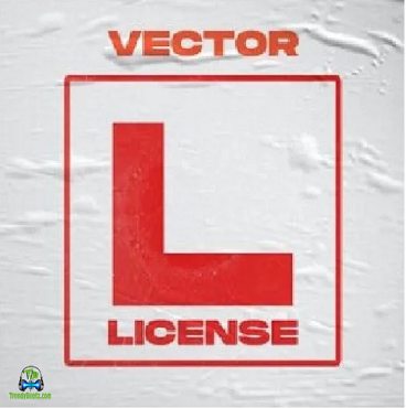 Vector