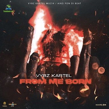 Vybz Kartel - From Me Born